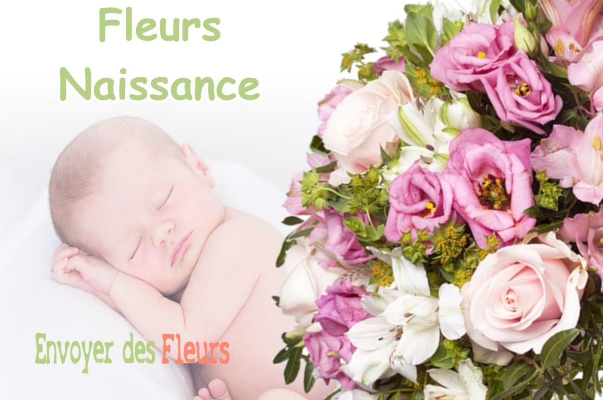 lIVRAISON FLEURS NAISSANCE à PANOSSAS